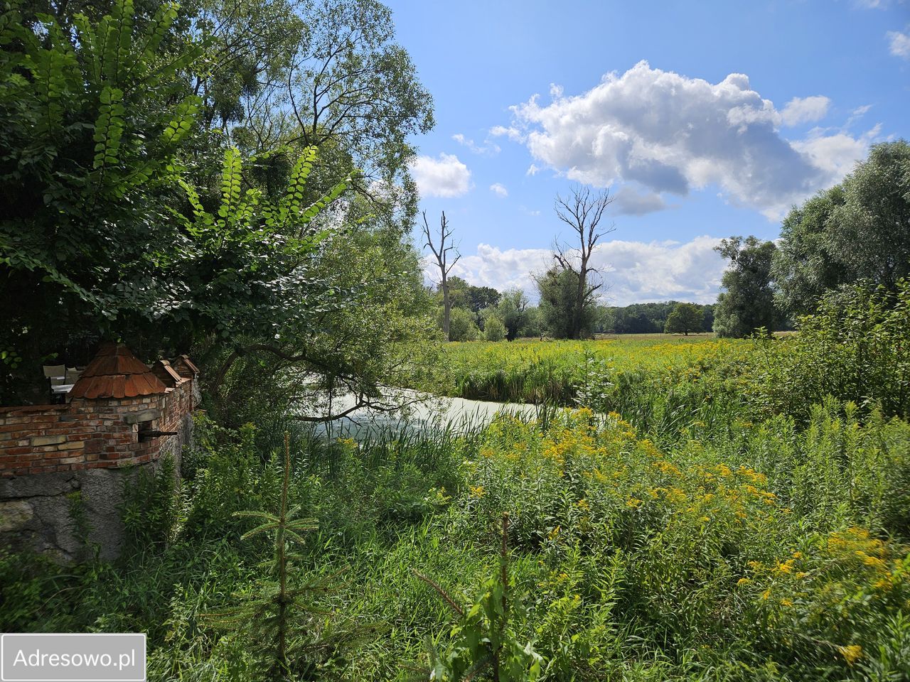 Działka budowlana Skałka. Zdjęcie 2