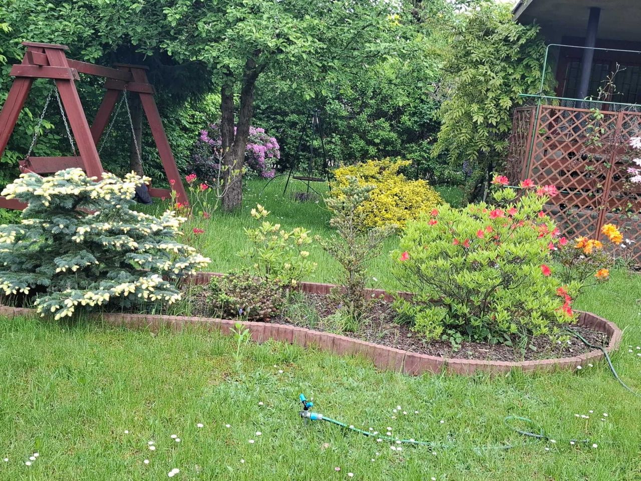 Działka rod Pabianice, ul. Olszynowa. Zdjęcie 3
