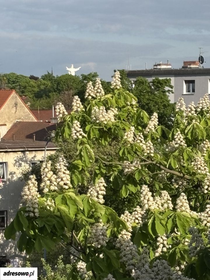 Mieszkanie 3-pokojowe Świebodzin. Zdjęcie 13