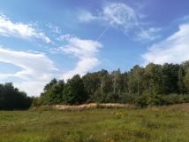 Działka budowlana Uciechów, ul. Lipowa. Zdjęcie 1