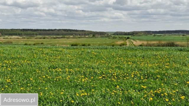 Działka rolno-budowlana Nowogardek. Zdjęcie 1