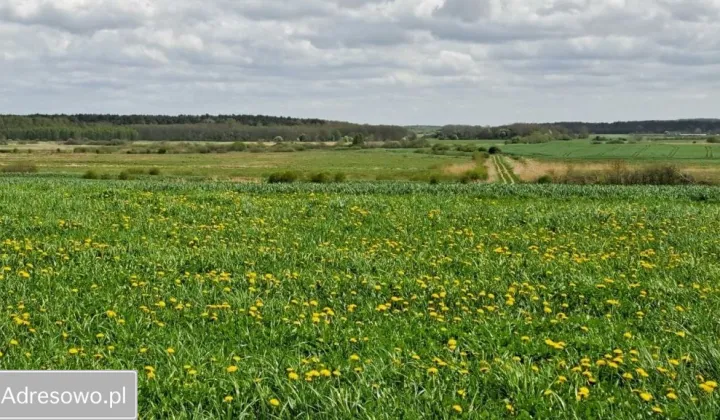 Działka rolno-budowlana Nowogardek