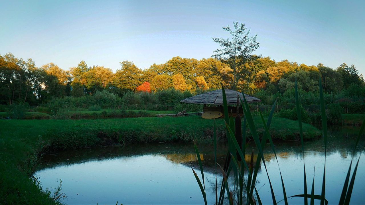 Działka inwestycyjna Grążawy. Zdjęcie 6