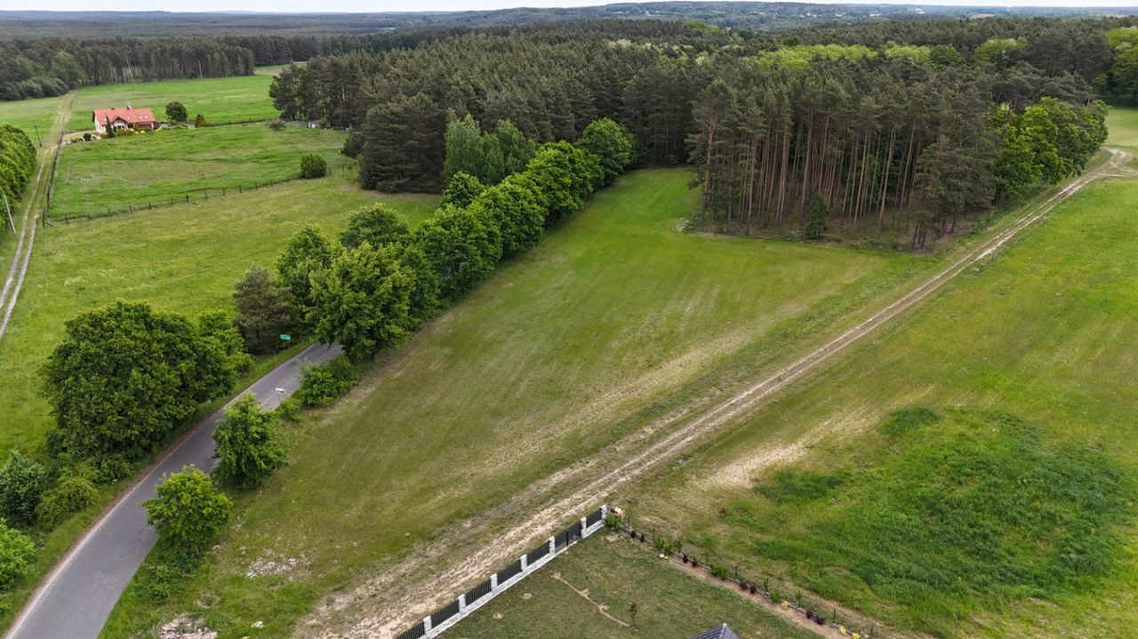 Działka rolno-budowlana Grabowiec. Zdjęcie 7