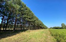 Działka budowlana Krzywdy. Zdjęcie 4