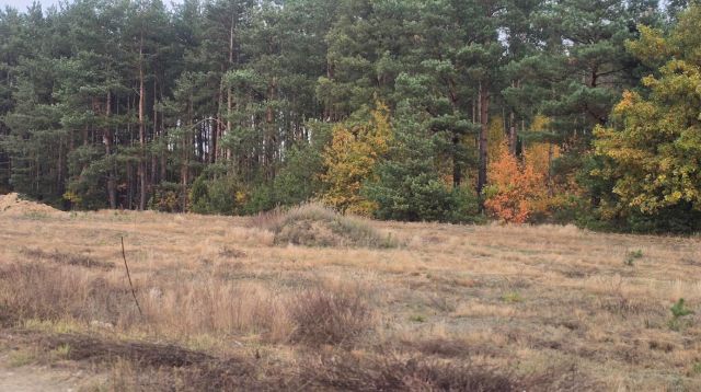 Działka budowlana Nowe Załubice, ul. Bratnia. Zdjęcie 9