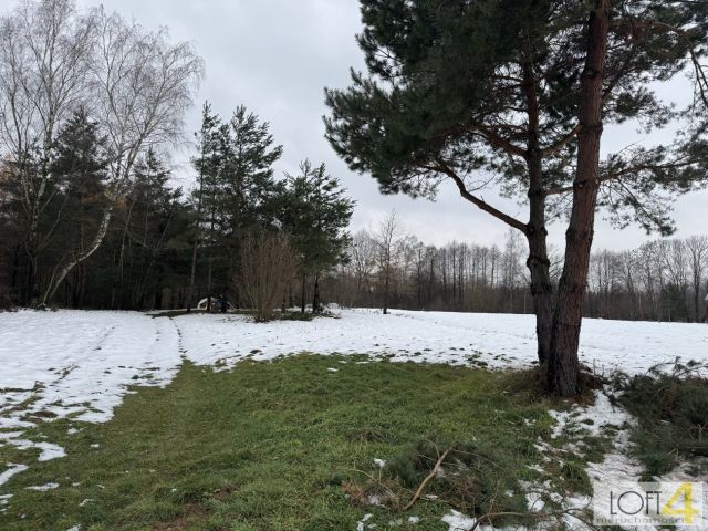 Działka rolno-budowlana Szarwark. Zdjęcie 9