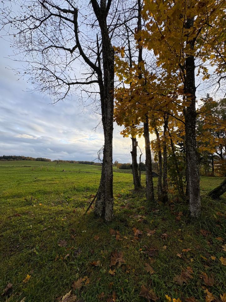 Działka siedliskowa Iwaniszki. Zdjęcie 9