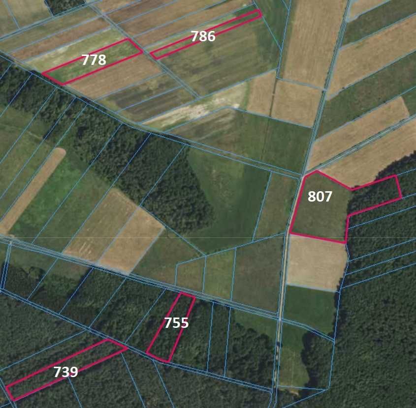 Działka Istok. Zdjęcie 1