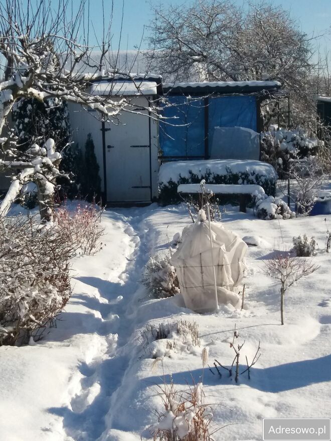 Działka rod Koszalin. Zdjęcie 3