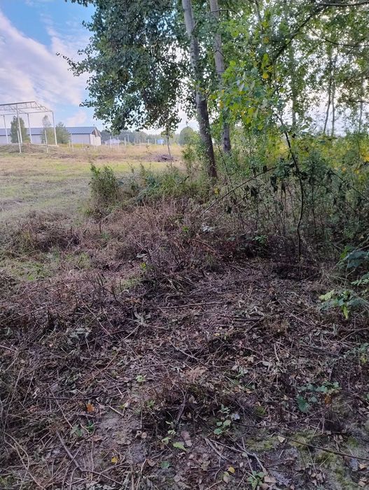 Działka rolno-budowlana Łopoń Ratnawy. Zdjęcie 3