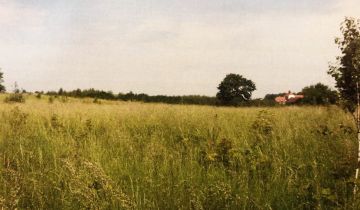 Działka rolna Olsztynek, ul. Olsztyńska