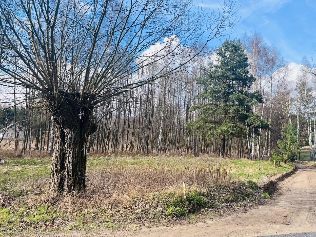 Działka rolna Gorzewo. Zdjęcie 7