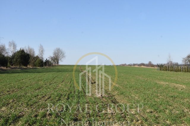 Działka Kunów. Zdjęcie 2