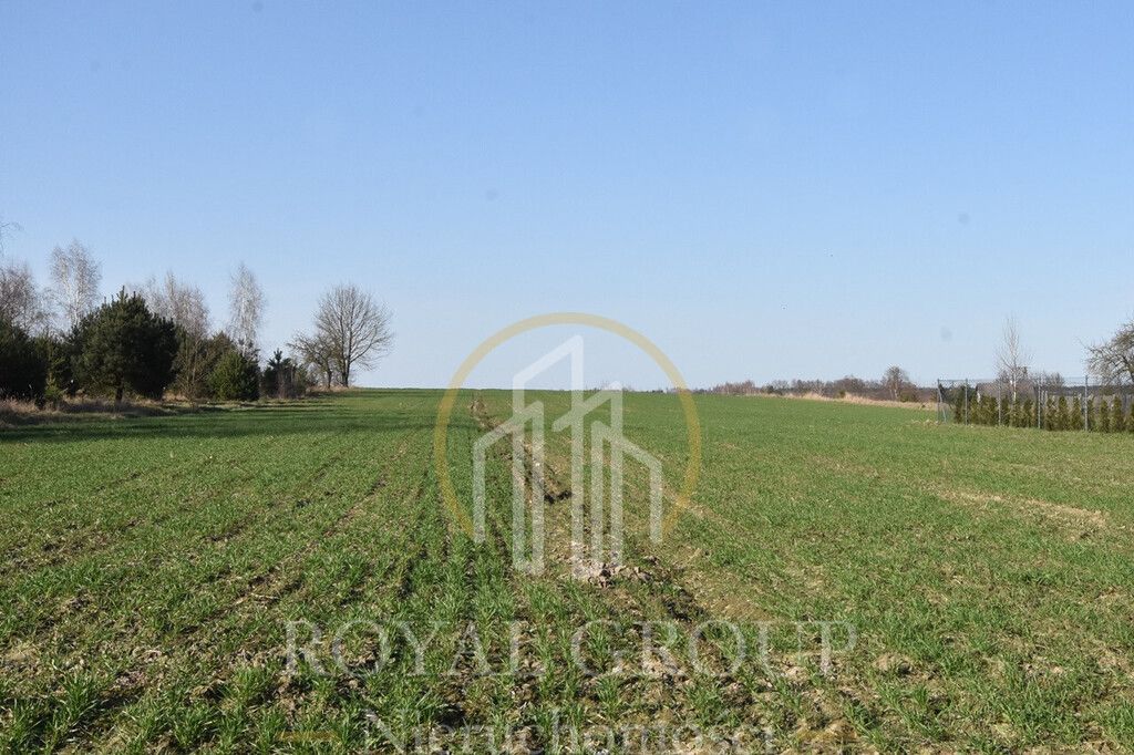 Działka Kunów. Zdjęcie 2