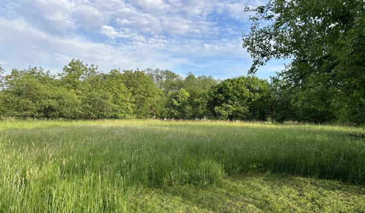 Działka rolno-budowlana Breń