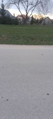 Działka rolno-budowlana Żelechy. Zdjęcie 1