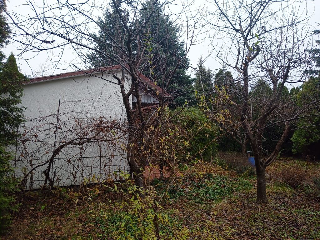 Działka rod Lubicz Dolny. Zdjęcie 5