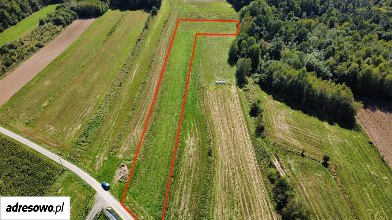 Działka rolno-budowlana Lipnica Dolna. Zdjęcie 4
