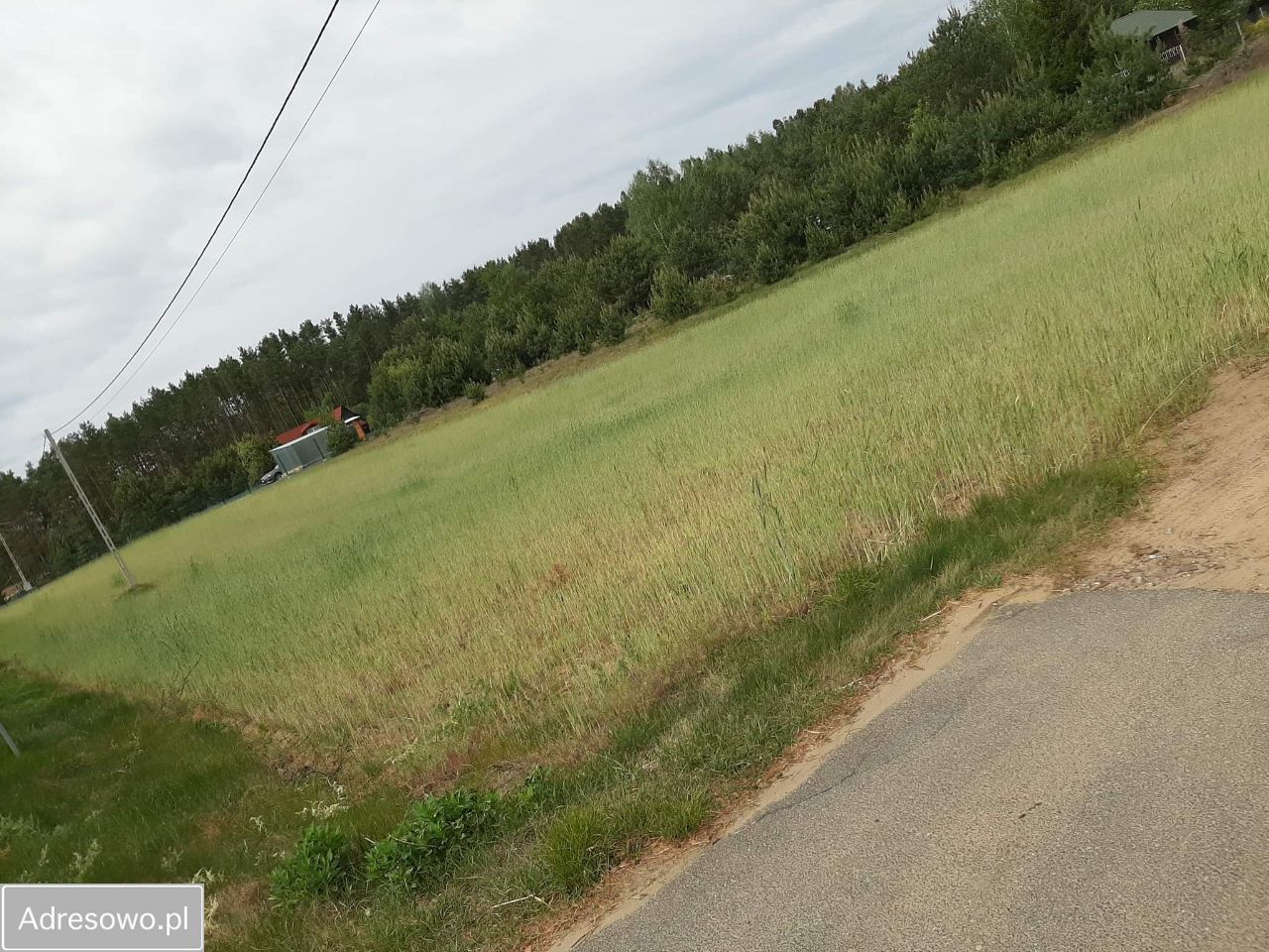 Działka rekreacyjna Urszulewo. Zdjęcie 3