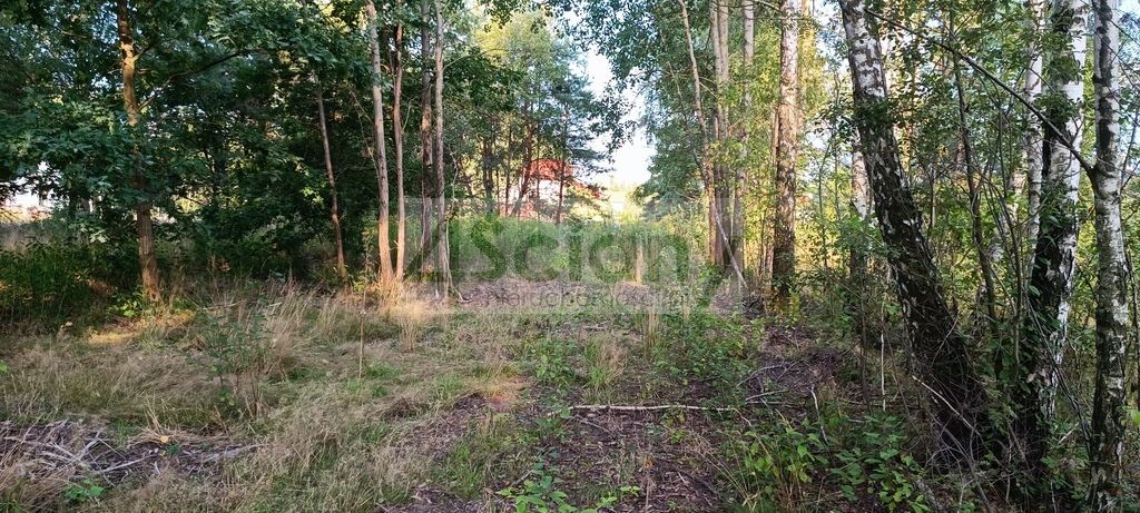 Działka budowlana Czarny Las. Zdjęcie 4