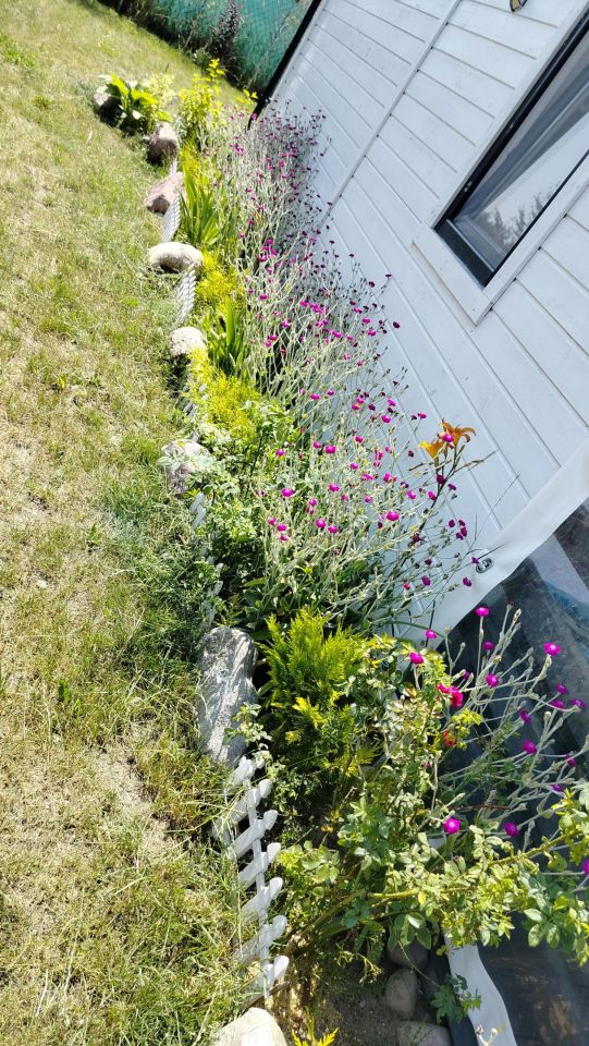 Działka rekreacyjna Radzynek. Zdjęcie 17