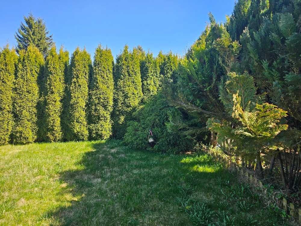 Działka rod Szczecin Krzekowo, ul. Waleriana Łukasińskiego. Zdjęcie 8