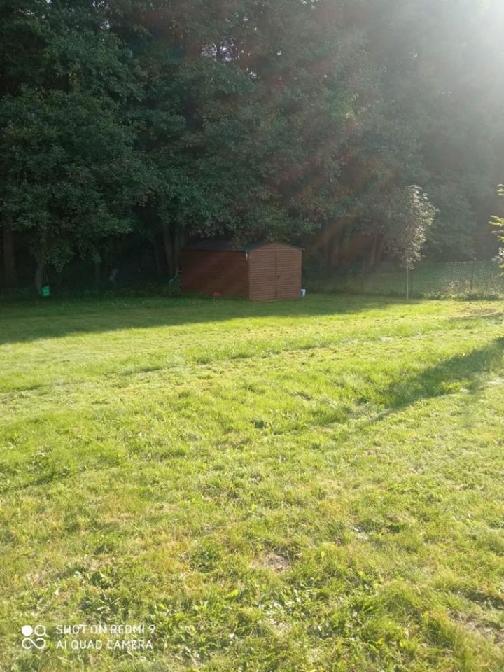 Działka Siecino. Zdjęcie 7
