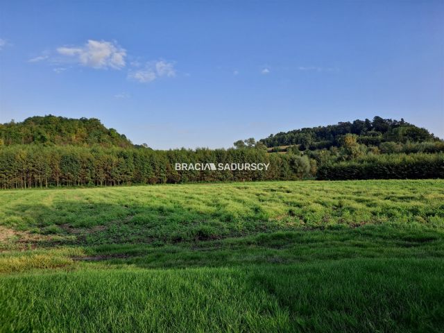 Działka rolna Polekarcice. Zdjęcie 3