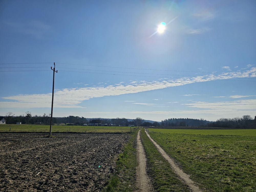 Działka budowlana Przezmark. Zdjęcie 6