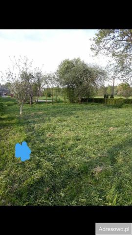 Działka rolna Krosno Białobrzegi. Zdjęcie 1