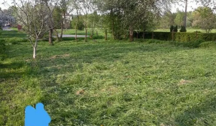 Działka rolna Krosno Białobrzegi