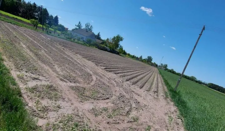 Działka rolno-budowlana Ariany