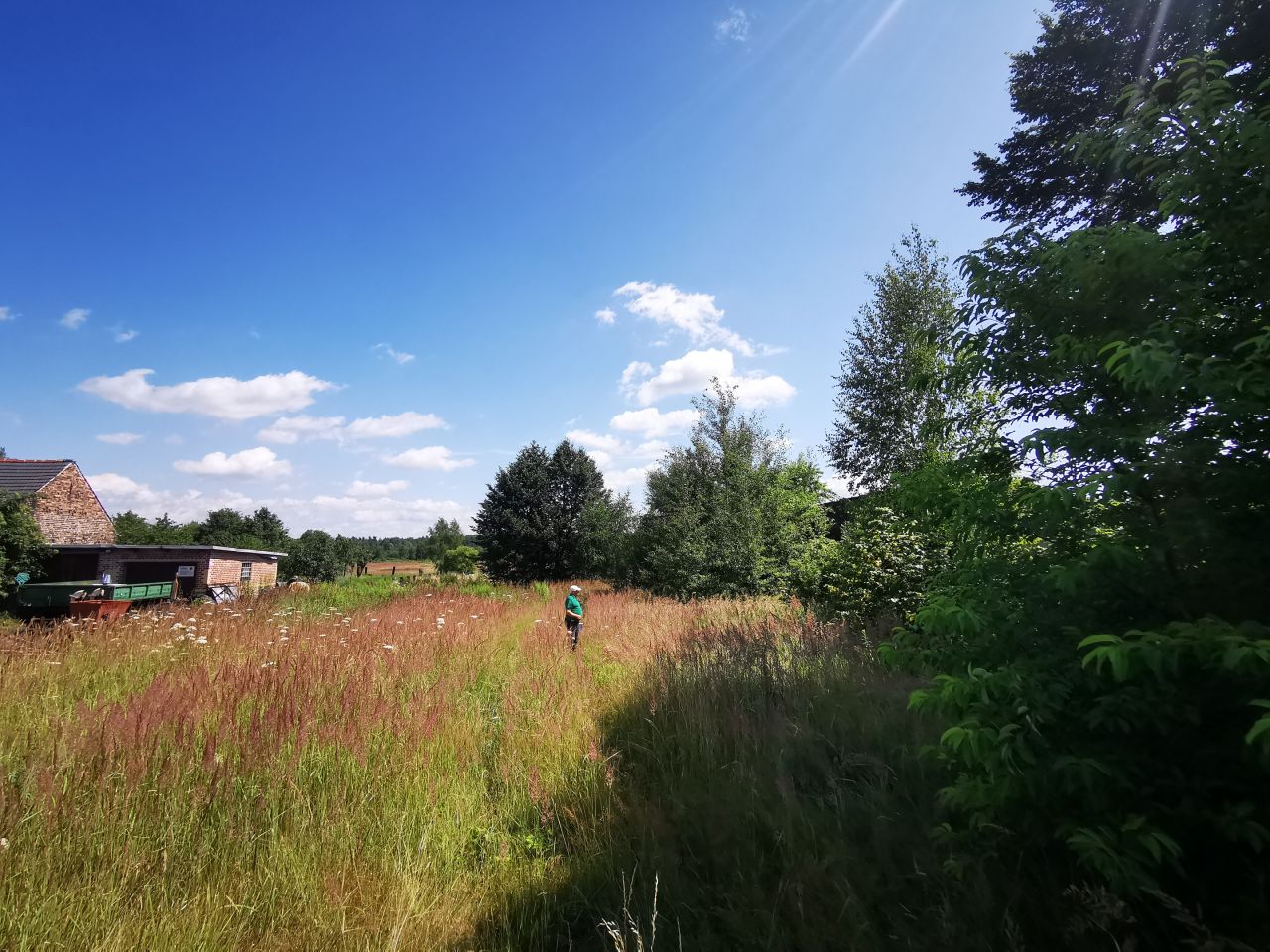 Działka rolno-budowlana Gozdnica, ul. Witosa. Zdjęcie 15