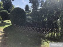 Działka rod Piotrków Trybunalski, ul. Gęsia. Zdjęcie 4