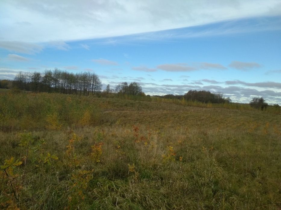 Działka leśna Stręgielek. Zdjęcie 2