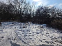 Działka budowlana Szewnica. Zdjęcie 3