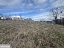 Działka rolna Glinno. Zdjęcie 2