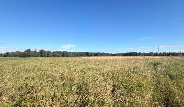 Działka inwestycyjna Karpin