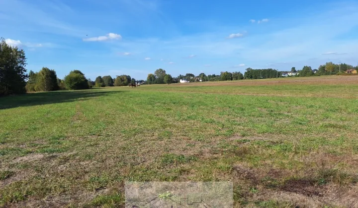 Działka budowlana Lucynów Duży
