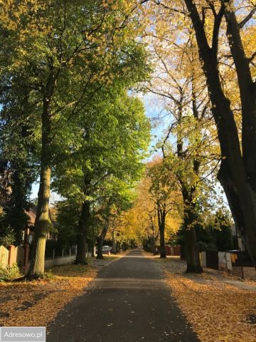 Działka budowlana Poznań Podolany, ul. Ciechocińska. Zdjęcie 1