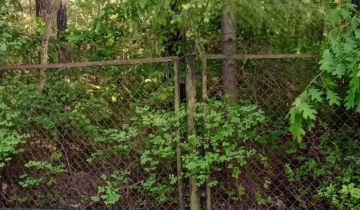 Działka budowlana Groszowice Wrzosów