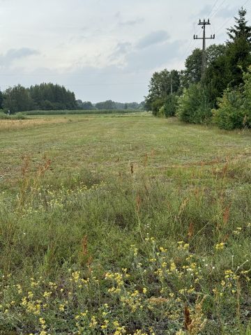 Działka budowlana Grądy Szlacheckie. Zdjęcie 1