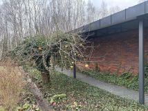 dom wolnostojący, 5 pokoi Kiełmina. Zdjęcie 4