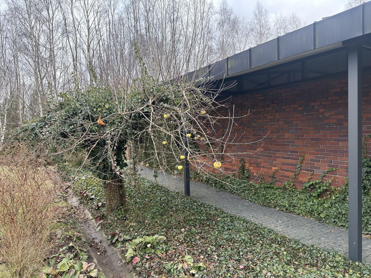 dom wolnostojący, 5 pokoi Kiełmina. Zdjęcie 5