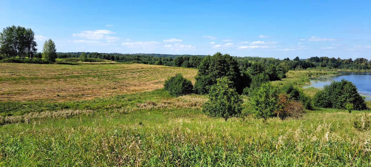 Działka rolna Cerkiewnik. Zdjęcie 11