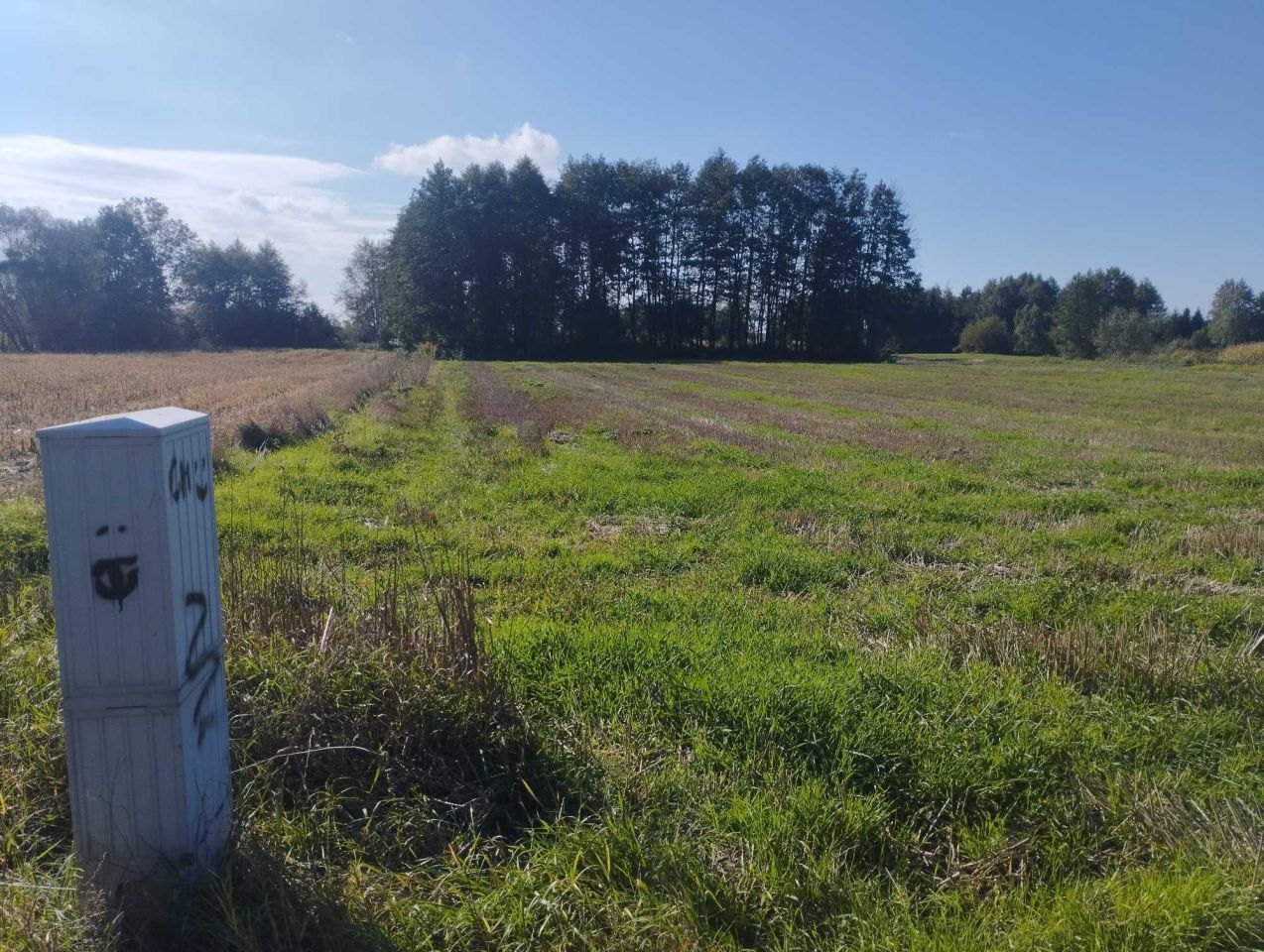 Działka budowlana Urszulin. Zdjęcie 5