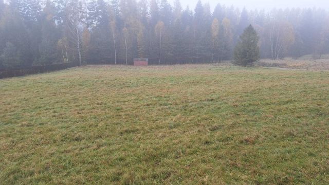 Działka budowlana Kurów. Zdjęcie 1