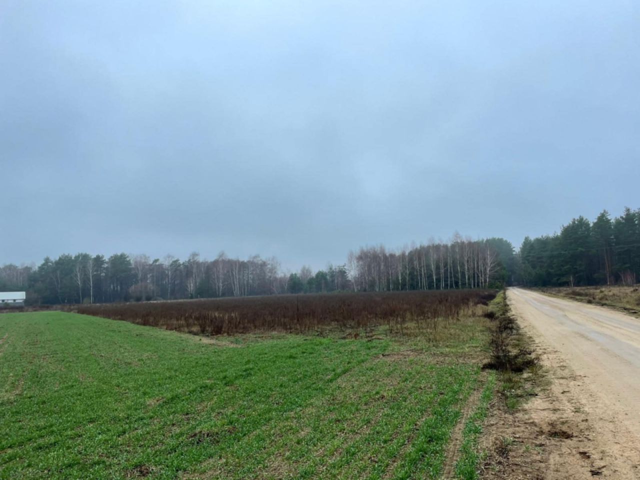 Działka budowlana Kościuki