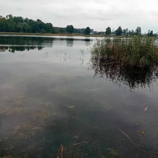 Działka budowlana Szumiłowo. Zdjęcie 4